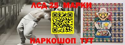 spice Кимры