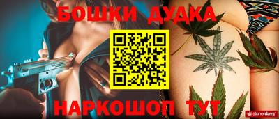 твердый Кингисепп