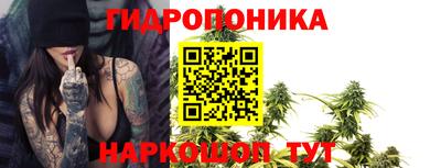 spice Кимры