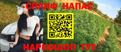 твердый Кингисепп