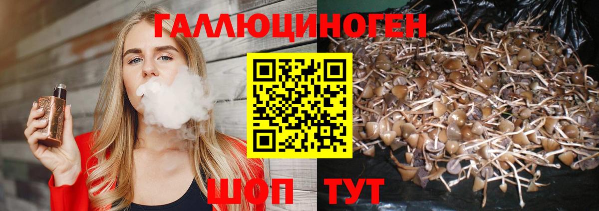 Янаул  Псилоцибиновые грибы GOLDEN TEACHER  Псилоцибиновые грибы Psilocybe  Вход с VPN 